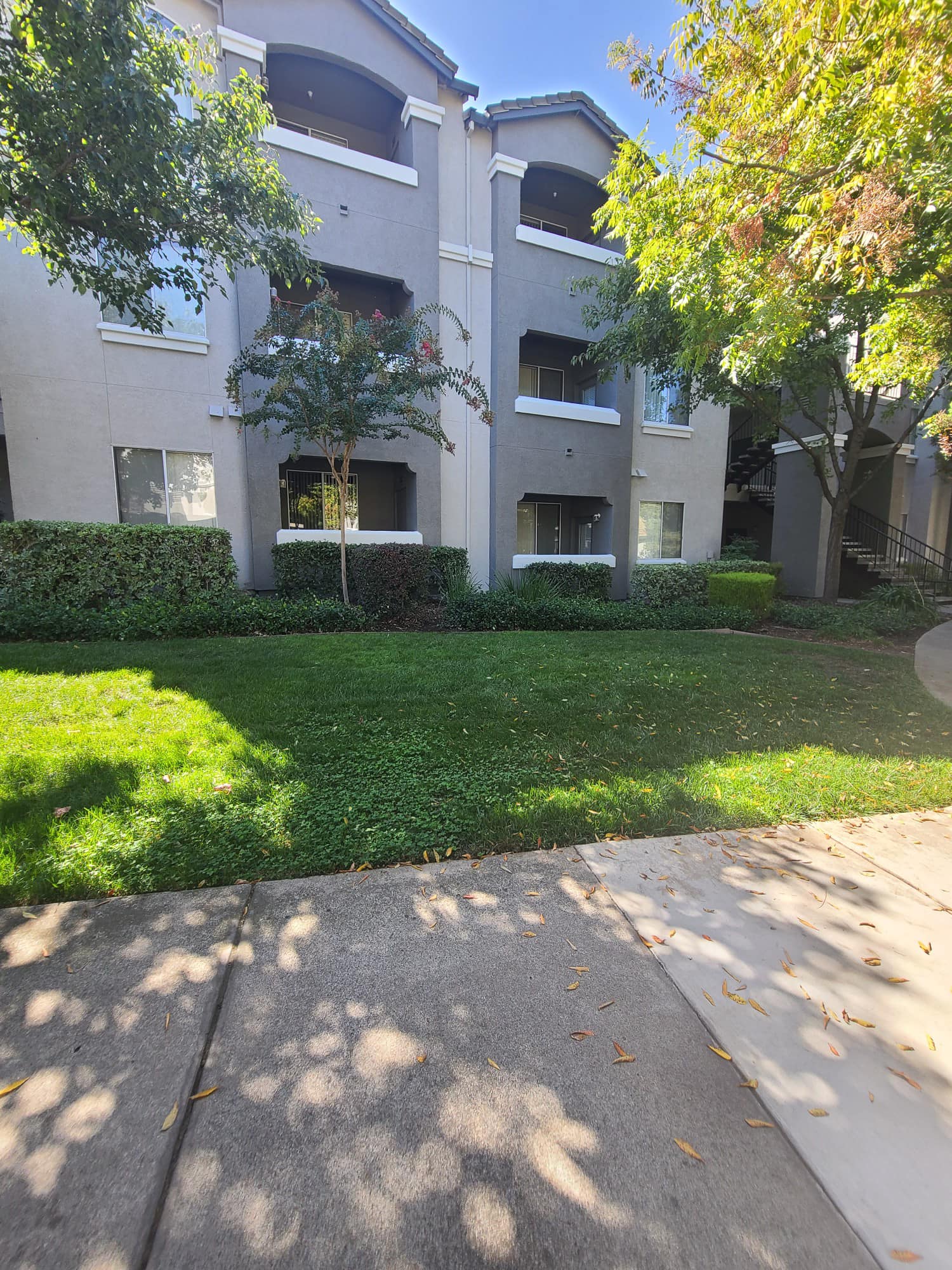 488495672_1207191488083281_7052888018504493561_n