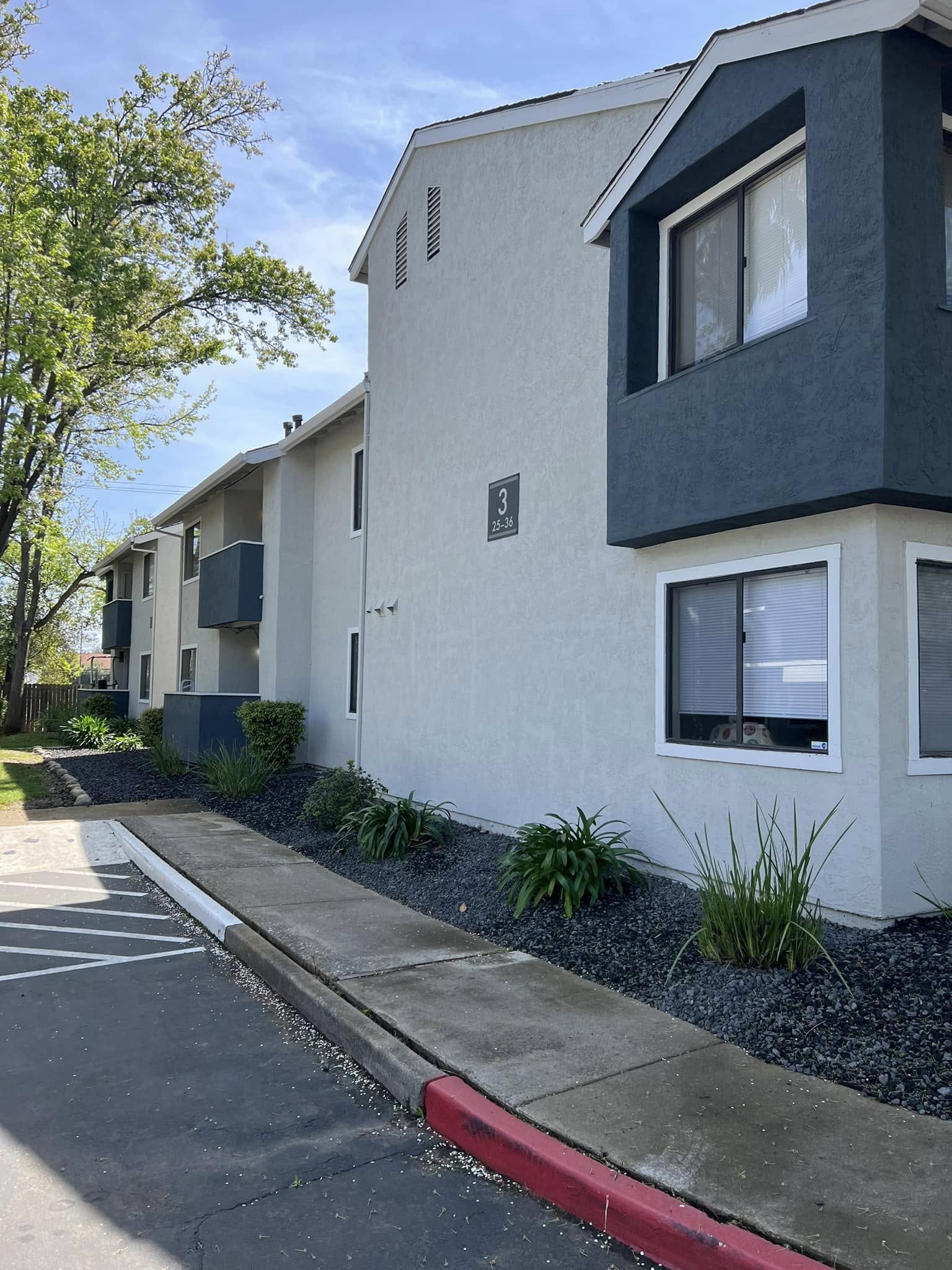 491668699_1217373840398379_7809276248787314295_n